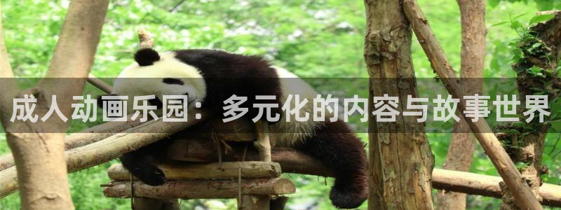 风车动漫樱花：成人动画乐园：多元化的内容与故事世界