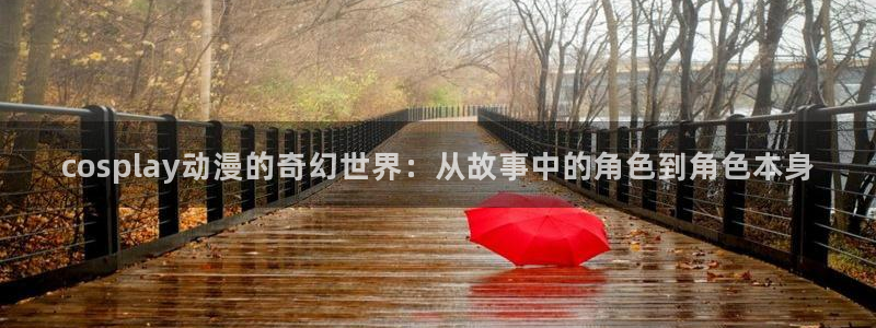 风车动漫 动漫：cosplay动漫的奇幻世界：从故事中的角色到角色本身