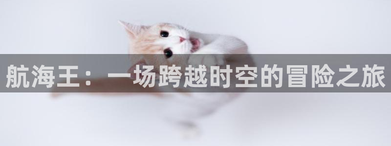 恋爱暴君风车动漫：航海王：一场跨越时空的冒险之旅