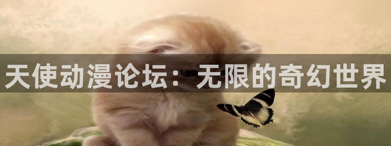 风车动漫在线官网观看：天使动漫论坛：无限的奇幻世界