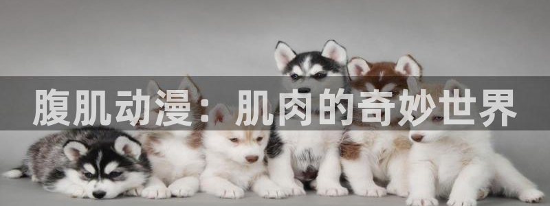 百炼成神风车动漫：腹肌动漫：肌肉的奇妙世界