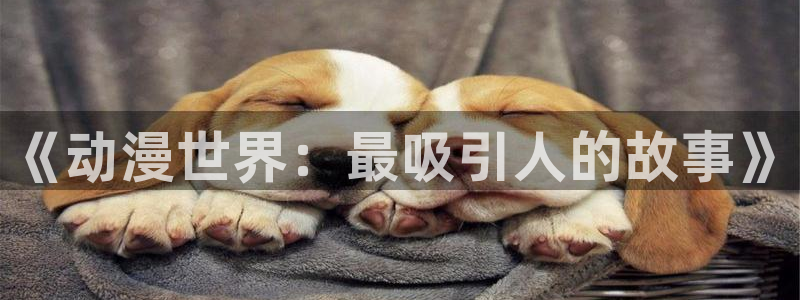 风车动漫不更新：《动漫世界：最吸引人的故事》